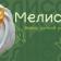 Логотип Мелисса